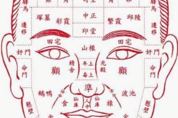 鼻子决定富贵，揭秘鼻子形状与命运的神秘联系