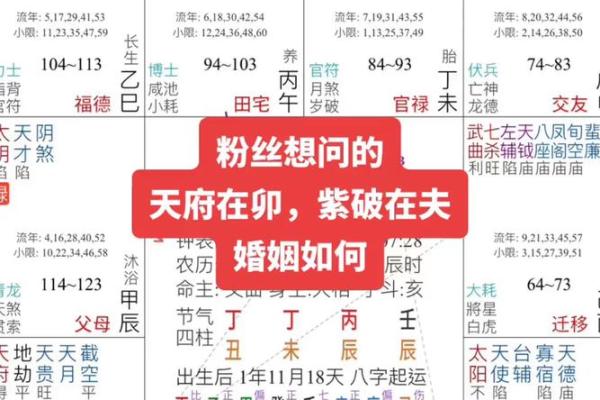 紫微排盘软件推荐：让你精准解读命运的秘密