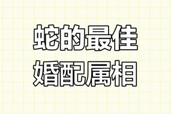 蛇年出生的你，婚姻匹配度大揭秘