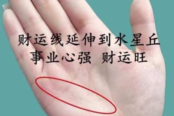 晚年财运亨通，手相揭秘幸福密码