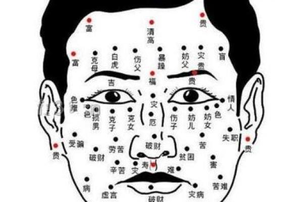 独家揭秘：左仙库痣相如何预示你的成功之路