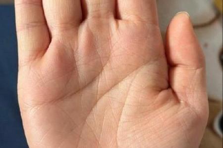 手相揭秘：一眼看穿家人命运，揭秘爆款手相秘籍
