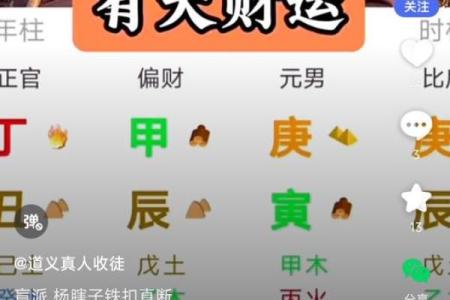 探秘龙隐网八字排盘，了解你的运势与人生方向