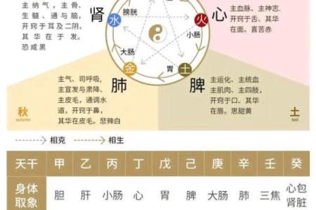 为什么苏五行与命运息息相关？深入解析