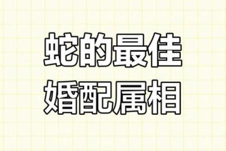 蛇年出生的你，婚姻匹配度大揭秘