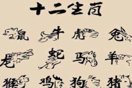 了解生肖背后的天干地支秘密