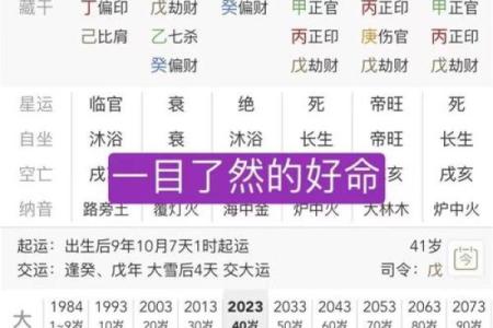 如何通过姓名和生日八字排盘，轻松洞察未来运势变化