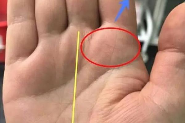 一招识人断手相：揭秘左手掌中的人生秘密