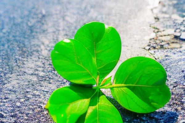 从手指到天干，了解这些能让你的人生更顺利！