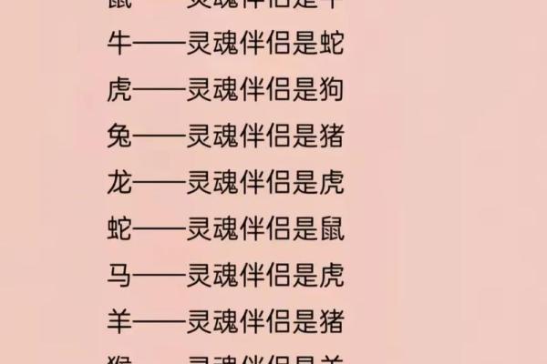 生肖搭配大揭秘，找到你的灵魂伴侣