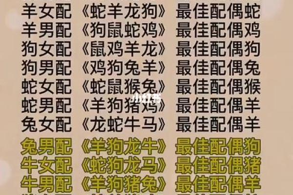 生肖搭配大揭秘，找到你的灵魂伴侣