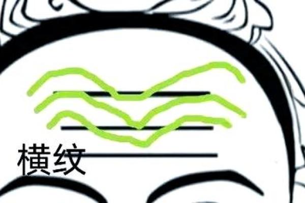 橘皮面相揭秘：面部纹路暗示健康运势，揭秘你的运势密码