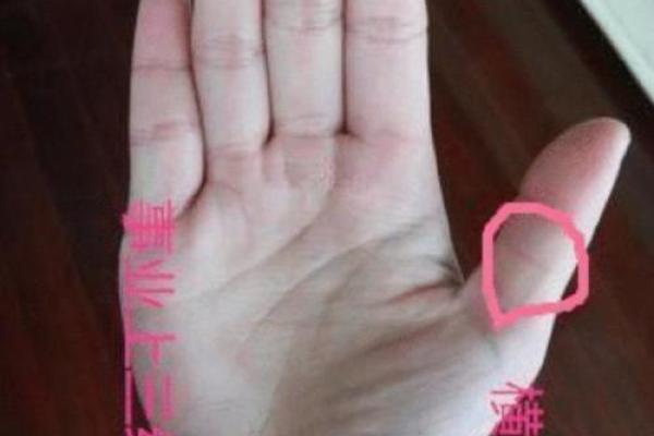 掌握子女福运：揭秘手相中的财富密码