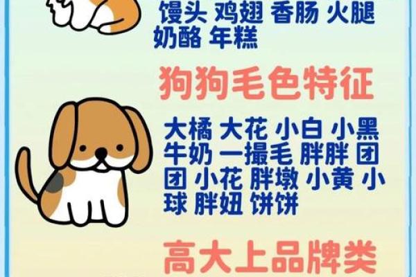 给泰迪起名，轻松选出最萌名字！