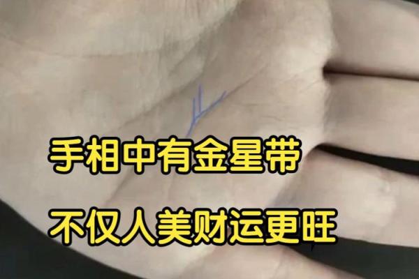 揭秘手相奥秘：看手相，财运尽在掌握