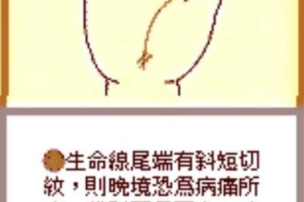 手相揭秘：读书线预示你的智慧与命运，错过必后悔