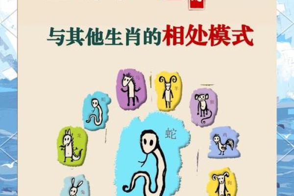 属蛇属龙，揭秘最佳伴侣的神奇组合