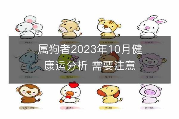 生肖查询宝典：一查便知你的运势与秘密