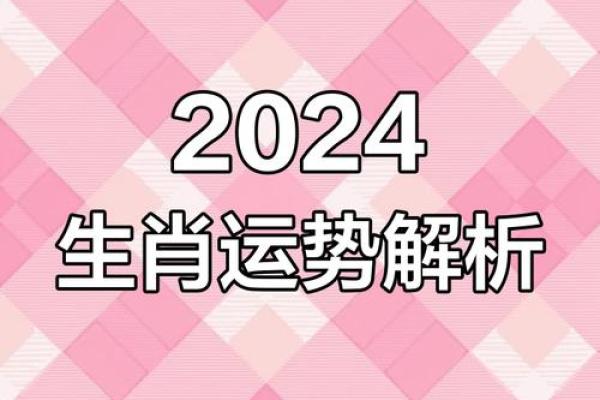 生肖查询宝典：一查便知你的运势与秘密