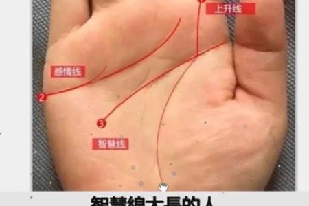 一招识人断手相：揭秘左手掌中的人生秘密