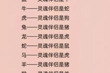 生肖搭配大揭秘，找到你的灵魂伴侣