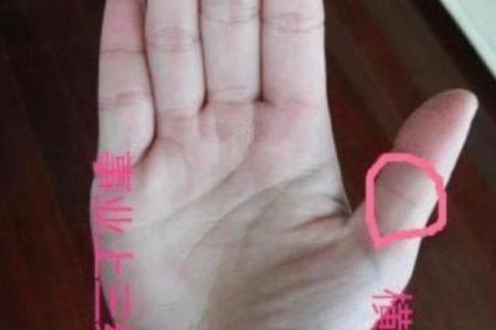 掌握子女福运：揭秘手相中的财富密码
