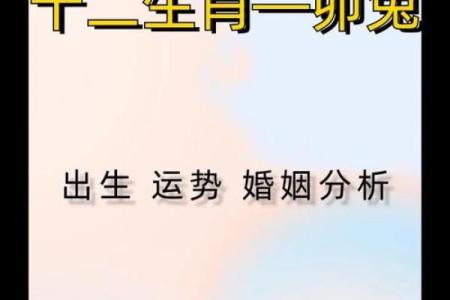 2023年属兔，金兔送福，你的运势大揭秘