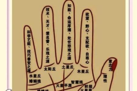 揭秘手相奥秘：看手相，财运尽在掌握