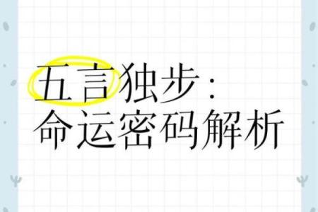 探索命理五型人格学：如何根据命理解锁你的个性密码