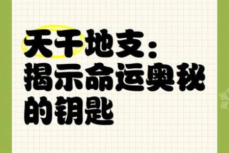 明年天干地支解析，揭示命运玄机！