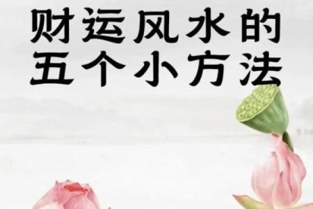 探秘吴yu风水命理：掌握这几招，运势暴涨