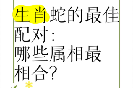 属蛇属龙，揭秘最佳伴侣的神奇组合