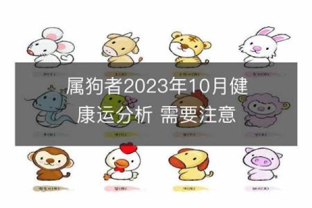 生肖查询宝典：一查便知你的运势与秘密