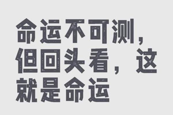 八字推理大师亲授：破解命运的隐藏密码