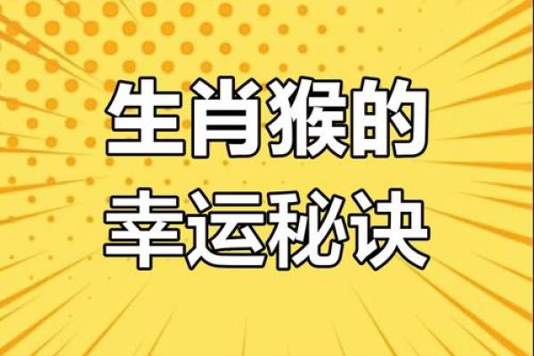 2016猴年运势大揭秘：你的生肖运势如何？