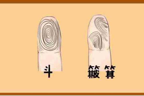 小指斗富贵，揭秘你的财运命格