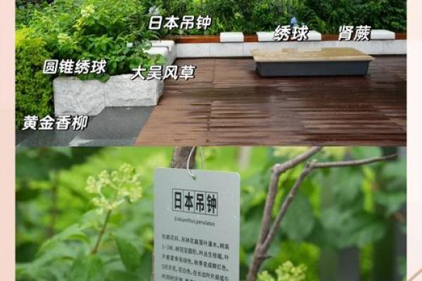 专业绿化公司名字推荐，吸引客户的秘诀