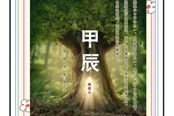可字五行属什么？了解这个能改变你的运势