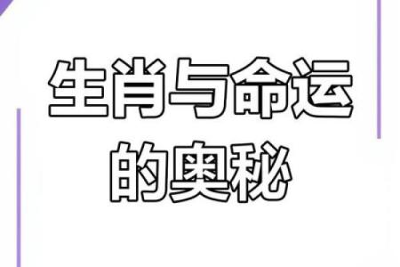 生肖运势揭秘：天日生肖，揭秘你的命运密码