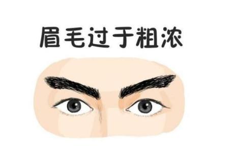 眉间藏富贵，间距见人心——揭秘眉毛间距面相奥秘