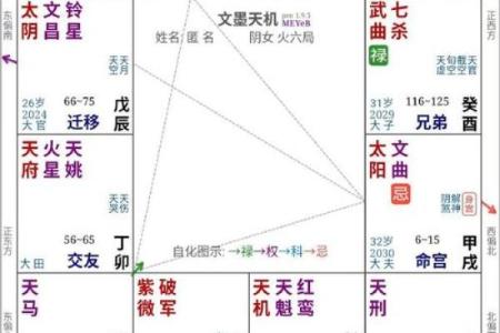 揭秘北京紫薇排盘：如何精准解析命运与人生轨迹