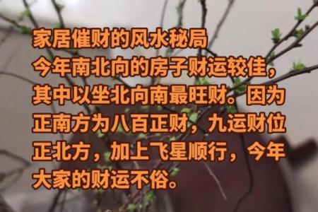 揭秘风水大师独家秘籍：财运亨通、事业发达的风水布局