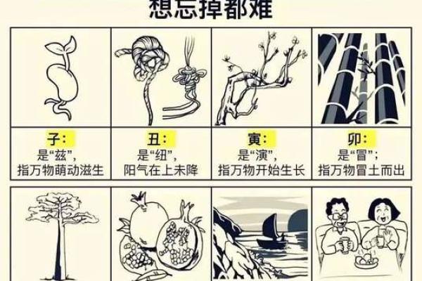 天干开合：一窥命运玄机，改变你的人生轨迹