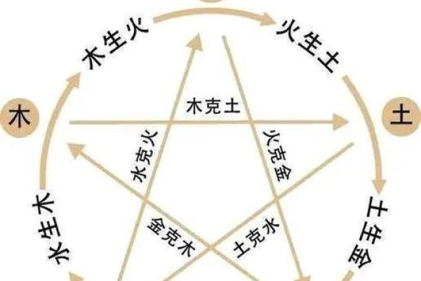 五行中木命，揭秘你的生命密码