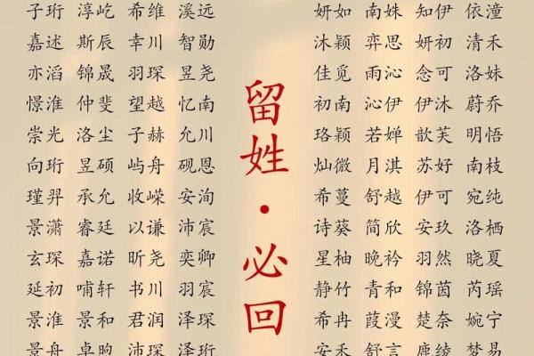 起名忆：为你定制专属的名字秘籍