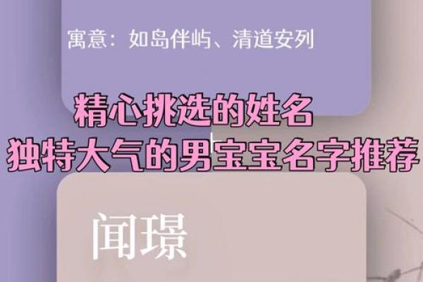 起名忆：为你定制专属的名字秘籍