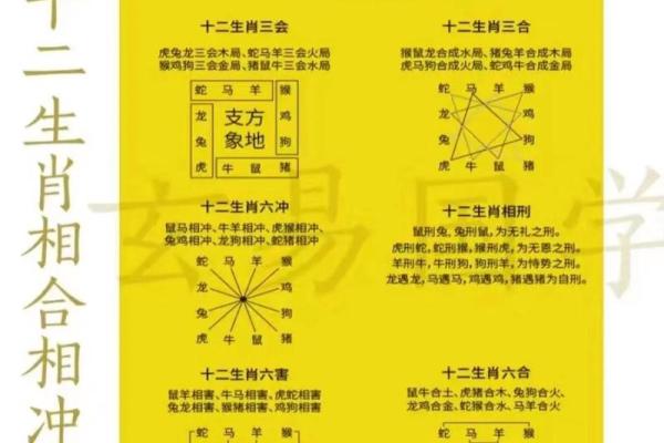 生肖相生相克：揭秘十二生肖之间的神奇关系