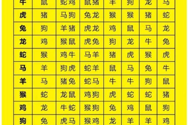 生肖相生相克：揭秘十二生肖之间的神奇关系