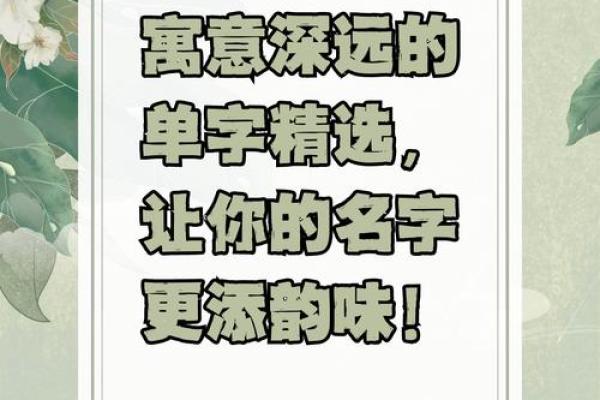 选择四川起名公司，让名字成就人生辉煌