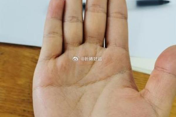 手相解密：女子掌中藏乾坤，一把握住怀胎几多娇